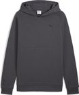 Pumatech Hoodie DK