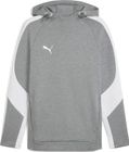 Teamevostripe Hoody