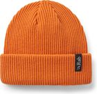 Perimeter Rolled Beanie