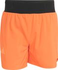 Terrex Xperior CLIMA365 Shorts