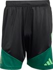 Mexico 26 Tiro Training Shorts