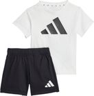 Essentials T-shirt SET