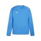Teamgoal Training Sweat