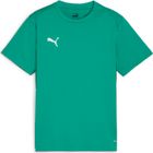 Teamgoal Training Jacket Wmn