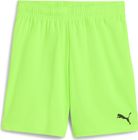 Teamgoal Shorts Jr