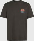 O'neill Beach Graphic T-shirt
