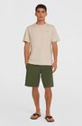O’neill Hybrid Chino 19” Shorts