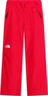 Womens Descendit Pant