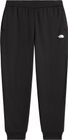 Mens TNF Performance Fleece SW Pant