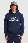 O'neill Logo Hoodie