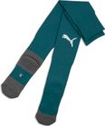 teamLIGA26 Socks Core