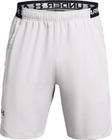 Vanish Woven 8in Shorts