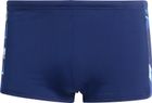 Ripstream Team Graphic Swim Boxers Men