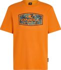 O'neill Graphic T-shirt