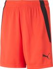 Teamliga Shorts Jr