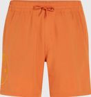 O'riginals Cali Ocean 16'' Swimshorts