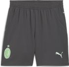 ACM Shorts Replica Jr