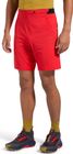 Trail Guard Shorts Men