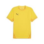 Teamfinal Jersey
