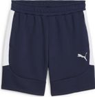 Teamevostripe Shorts