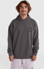 Future Surf Society Hoodie