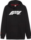 F1 Essentials Logo Hoodie