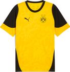 BVB Training Jersey