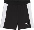 teamFINAL26 Training Shorts Jr