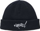 Icons REG Beanie