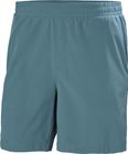 Roam Shorts