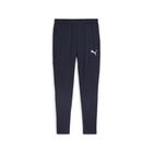 Teamgoal Slim Training Pants