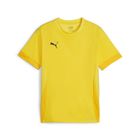 Teamgoal Matchday Jersey jr