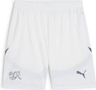 SFV Shorts Replica