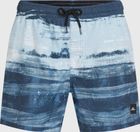 O'neill Cali Gradient 15'' Swimshorts