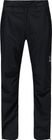 Astral GTX Pant Women