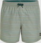 Jack O'neill Cali First 15'' Swim Shorts