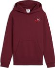 Essentials 2 Color Small No. 1 Logo Hoodie FL B