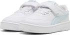 Court Lally AC Inf