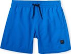 Cali Hybrid 13'' Swim Shorts