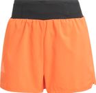 Terrex Xperior CLIMA365 Shorts