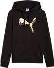 Essentials Metallic Hoodie FL