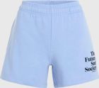 Future Surf Society Shorts