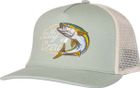 Yellow Tailed Trucker