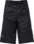 Men's Sesvenna Shorts III