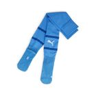 Teamfinal Socks