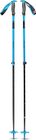 Traverse Ski Poles