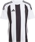 Striped 24 Jersey Kids