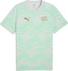 SFV Ftblculture Tee AOP