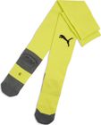 teamLIGA26 Socks Core