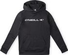 Rutile Hooded Fleece
